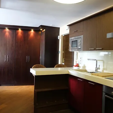 Luxury Apartment